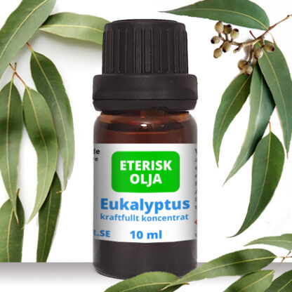 eterisk eukalyptus olja